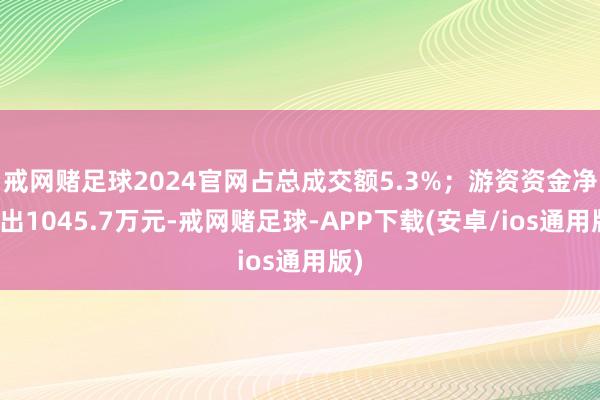 戒网赌足球2024官网占总成交额5.3%；游资资金净流出1045.7万元-戒网赌足球-APP下载(安卓/ios通用版)