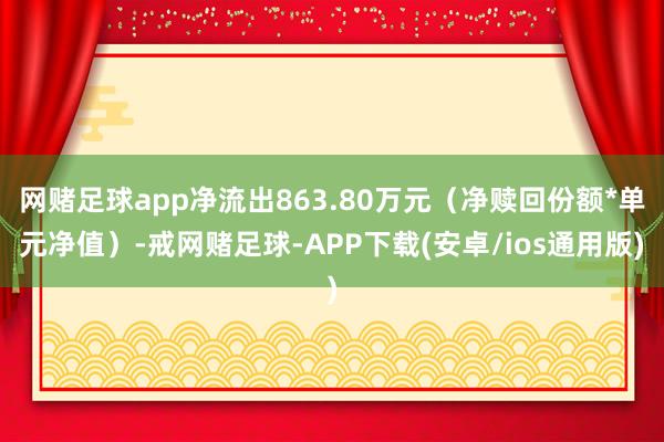 网赌足球app净流出863.80万元（净赎回份额*单元净值）-戒网赌足球-APP下载(安卓/ios通用版)