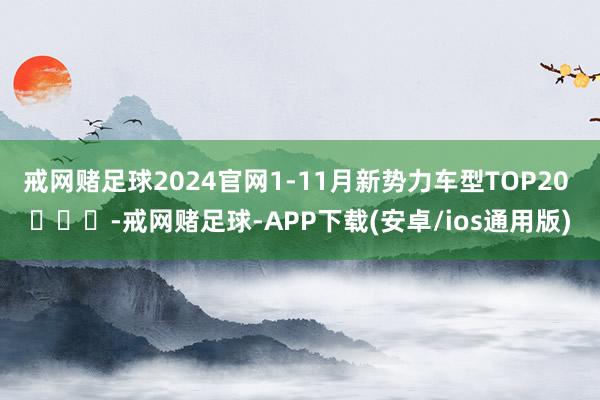戒网赌足球2024官网1-11月新势力车型TOP20 ​​​-戒网赌足球-APP下载(安卓/ios通用版)
