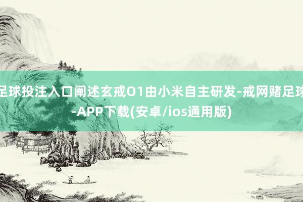 足球投注入口阐述玄戒O1由小米自主研发-戒网赌足球-APP下载(安卓/ios通用版)