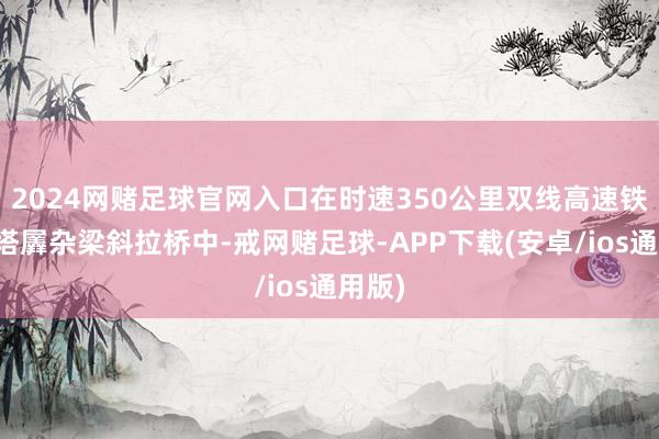 2024网赌足球官网入口在时速350公里双线高速铁路矮塔羼杂梁斜拉桥中-戒网赌足球-APP下载(安卓/ios通用版)