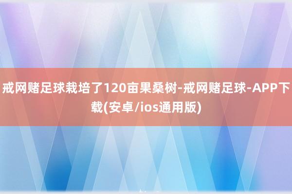 戒网赌足球栽培了120亩果桑树-戒网赌足球-APP下载(安卓/ios通用版)