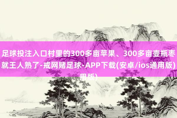 足球投注入口村里的300多亩苹果、300多亩壶瓶枣就王人熟了-戒网赌足球-APP下载(安卓/ios通用版)