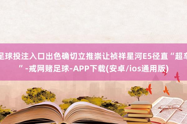 足球投注入口出色确切立推崇让祯祥星河E5径直“超车”-戒网赌足球-APP下载(安卓/ios通用版)