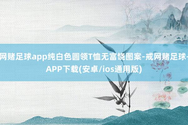 网赌足球app纯白色圆领T恤无富饶图案-戒网赌足球-APP下载(安卓/ios通用版)
