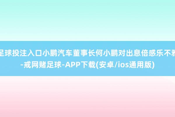 足球投注入口小鹏汽车董事长何小鹏对出息倍感乐不雅-戒网赌足球-APP下载(安卓/ios通用版)
