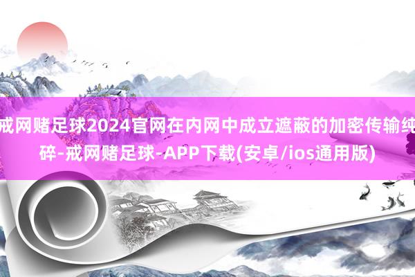 戒网赌足球2024官网在内网中成立遮蔽的加密传输纯碎-戒网赌足球-APP下载(安卓/ios通用版)