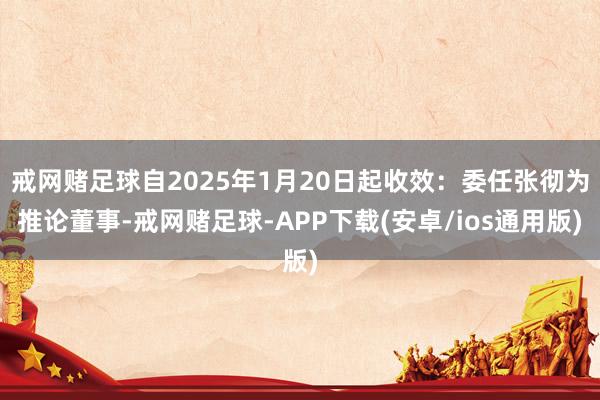 戒网赌足球自2025年1月20日起收效：委任张彻为推论董事-戒网赌足球-APP下载(安卓/ios通用版)
