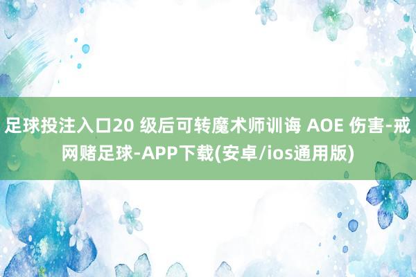 足球投注入口20 级后可转魔术师训诲 AOE 伤害-戒网赌足球-APP下载(安卓/ios通用版)