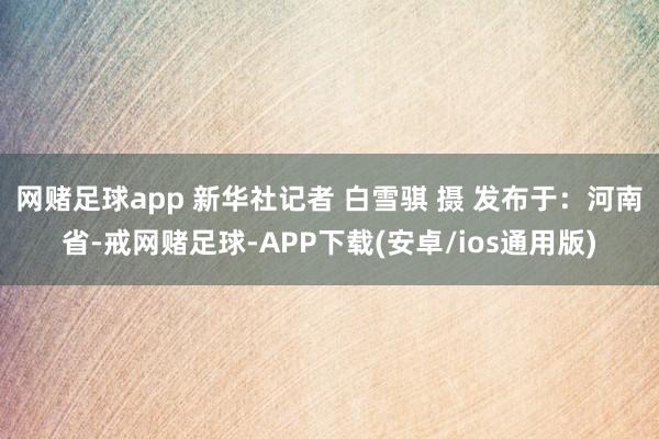 网赌足球app 新华社记者 白雪骐 摄 发布于：河南省-戒网赌足球-APP下载(安卓/ios通用版)