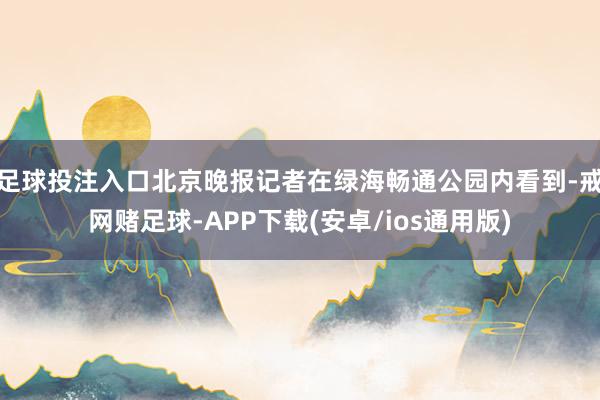 足球投注入口北京晚报记者在绿海畅通公园内看到-戒网赌足球-APP下载(安卓/ios通用版)