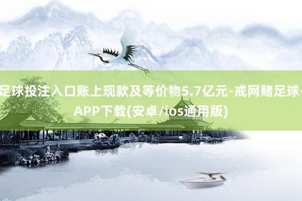 足球投注入口账上现款及等价物5.7亿元-戒网赌足球-APP下载(安卓/ios通用版)