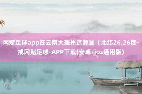 网赌足球app在云南大理州洱源县（北纬26.26度-戒网赌足球-APP下载(安卓/ios通用版)