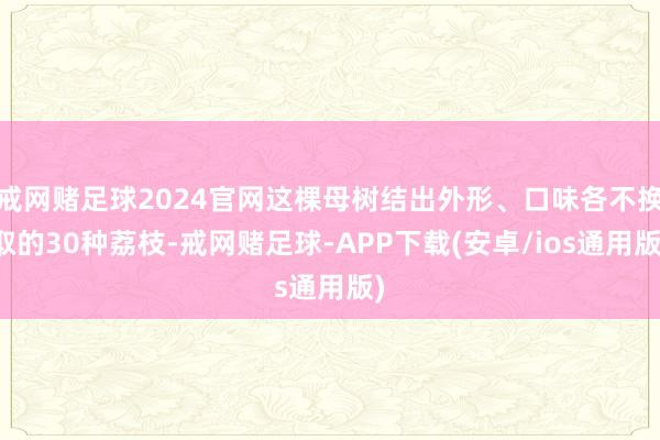 戒网赌足球2024官网这棵母树结出外形、口味各不换取的30种荔枝-戒网赌足球-APP下载(安卓/ios通用版)