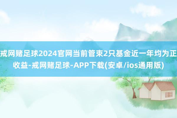 戒网赌足球2024官网当前管束2只基金近一年均为正收益-戒网赌足球-APP下载(安卓/ios通用版)