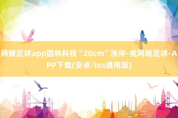 网赌足球app国林科技“20cm”涨停-戒网赌足球-APP下载(安卓/ios通用版)