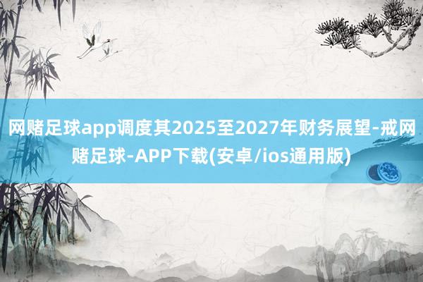 网赌足球app调度其2025至2027年财务展望-戒网赌足球-APP下载(安卓/ios通用版)