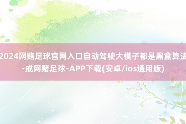 2024网赌足球官网入口自动驾驶大模子都是黑盒算法-戒网赌足球-APP下载(安卓/ios通用版)