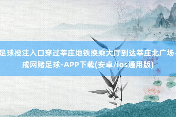 足球投注入口穿过莘庄地铁换乘大厅到达莘庄北广场-戒网赌足球-APP下载(安卓/ios通用版)