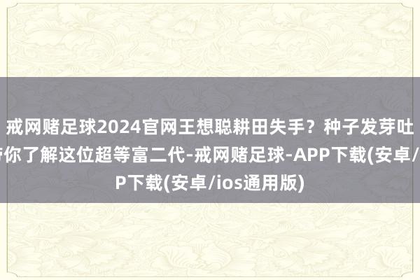戒网赌足球2024官网王想聪耕田失手?种子发芽吐花成果!带你了解这位超等富二代-戒网赌足球-APP下载(安卓/ios通用版)