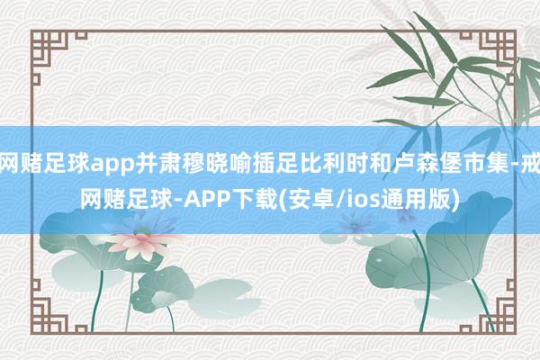 网赌足球app并肃穆晓喻插足比利时和卢森堡市集-戒网赌足球-APP下载(安卓/ios通用版)
