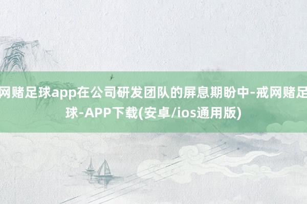 网赌足球app在公司研发团队的屏息期盼中-戒网赌足球-APP下载(安卓/ios通用版)