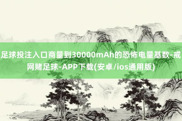 足球投注入口商量到30000mAh的恐怖电量基数-戒网赌足球-APP下载(安卓/ios通用版)