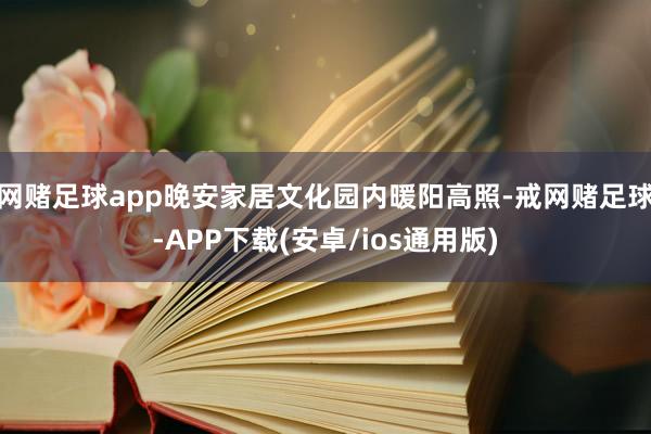 网赌足球app晚安家居文化园内暖阳高照-戒网赌足球-APP下载(安卓/ios通用版)