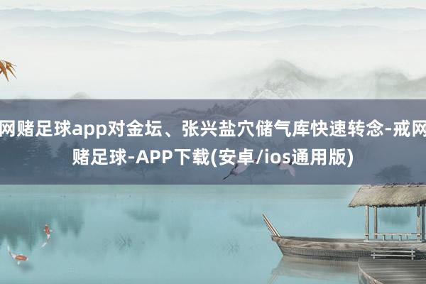 网赌足球app对金坛、张兴盐穴储气库快速转念-戒网赌足球-APP下载(安卓/ios通用版)