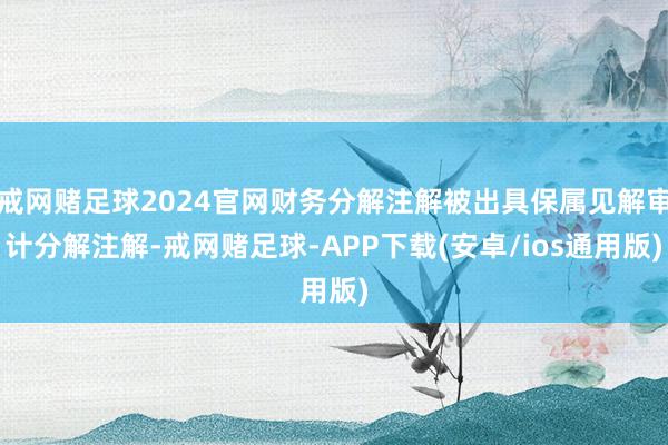 戒网赌足球2024官网财务分解注解被出具保属见解审计分解注解-戒网赌足球-APP下载(安卓/ios通用版)