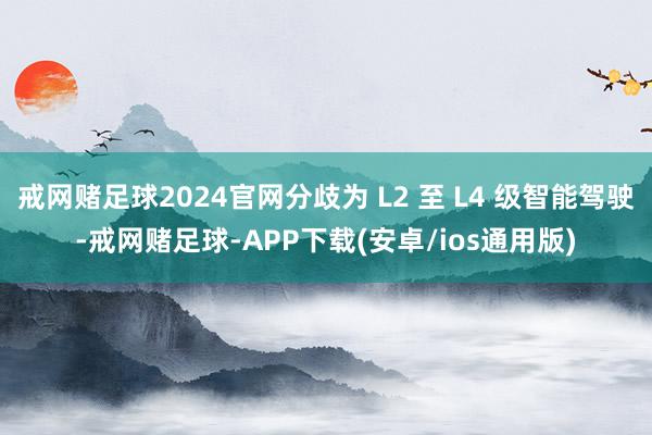 戒网赌足球2024官网分歧为 L2 至 L4 级智能驾驶-戒网赌足球-APP下载(安卓/ios通用版)