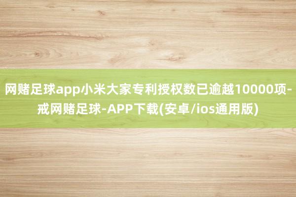 网赌足球app小米大家专利授权数已逾越10000项-戒网赌足球-APP下载(安卓/ios通用版)