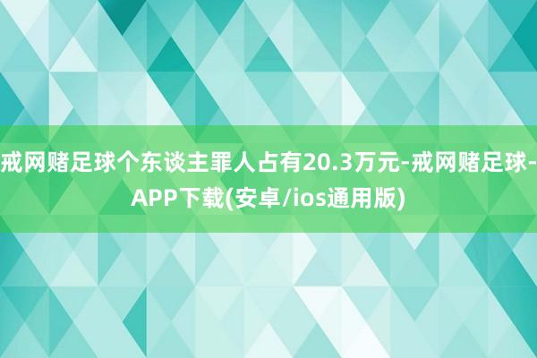 戒网赌足球个东谈主罪人占有20.3万元-戒网赌足球-APP下载(安卓/ios通用版)