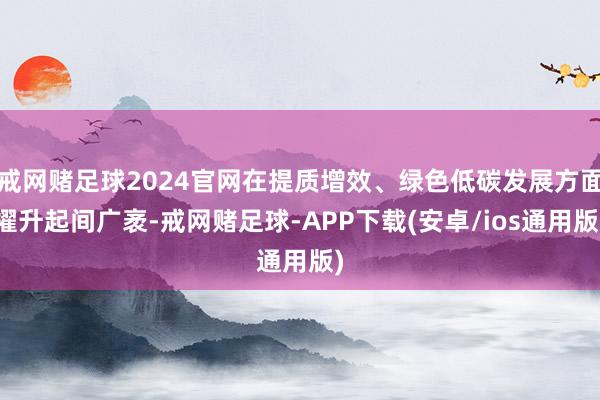戒网赌足球2024官网在提质增效、绿色低碳发展方面擢升起间广袤-戒网赌足球-APP下载(安卓/ios通用版)