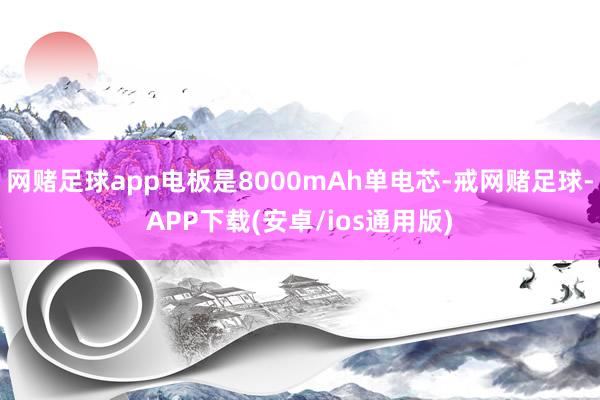 网赌足球app电板是8000mAh单电芯-戒网赌足球-APP下载(安卓/ios通用版)
