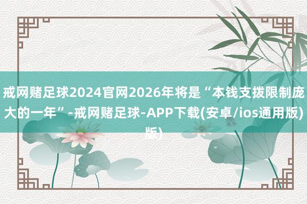 戒网赌足球2024官网2026年将是“本钱支拨限制庞大的一年”-戒网赌足球-APP下载(安卓/ios通用版)