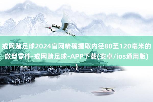 戒网赌足球2024官网精确握取内径80至120毫米的微型零件-戒网赌足球-APP下载(安卓/ios通用版)